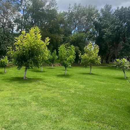 הואסקה דה אוקמפו Cabanas Cumbres De Aguacatitla מראה חיצוני תמונה