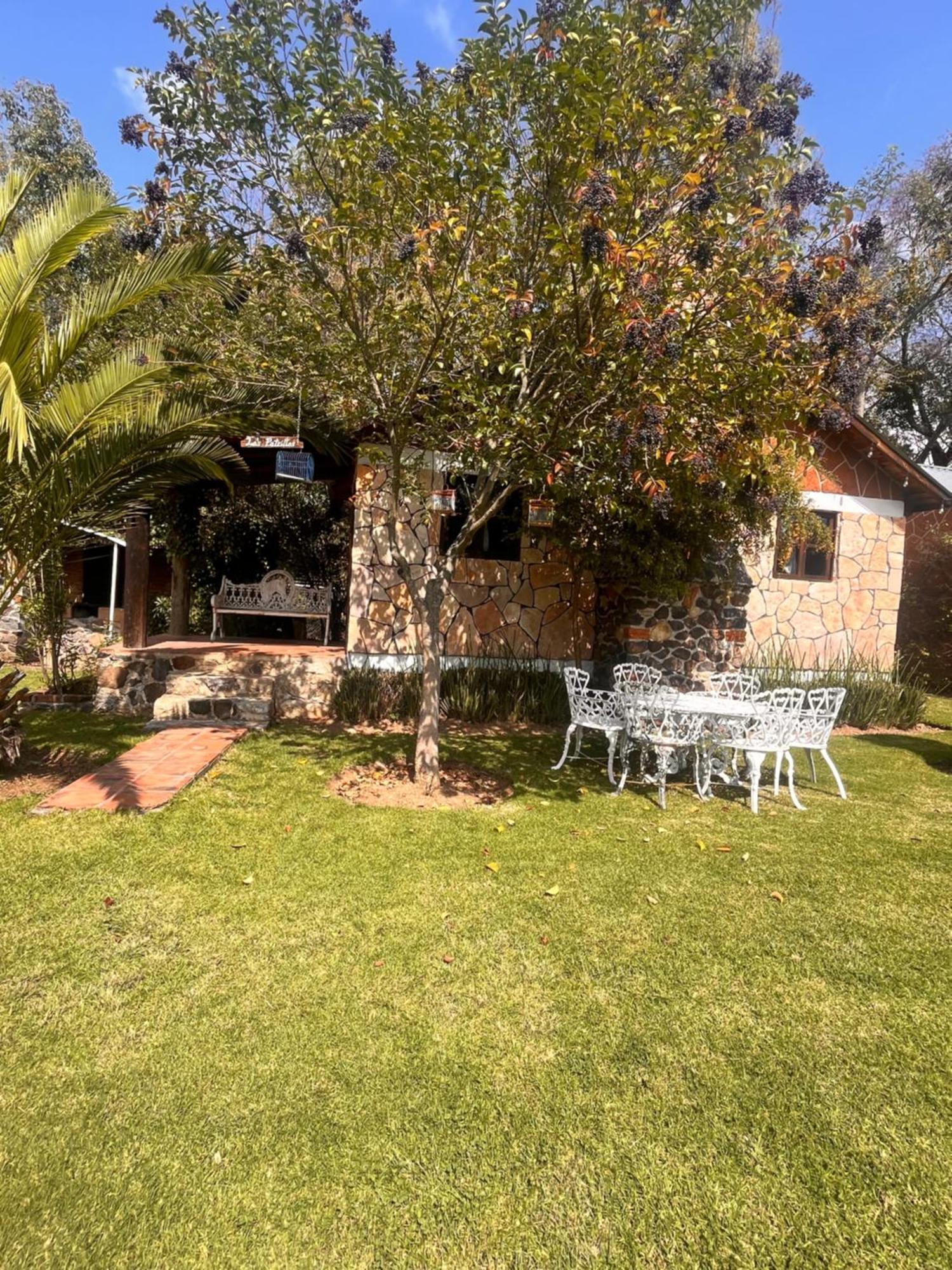 הואסקה דה אוקמפו Cabanas Cumbres De Aguacatitla מראה חיצוני תמונה