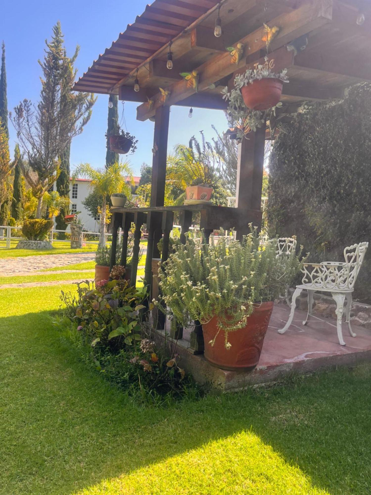 הואסקה דה אוקמפו Cabanas Cumbres De Aguacatitla מראה חיצוני תמונה