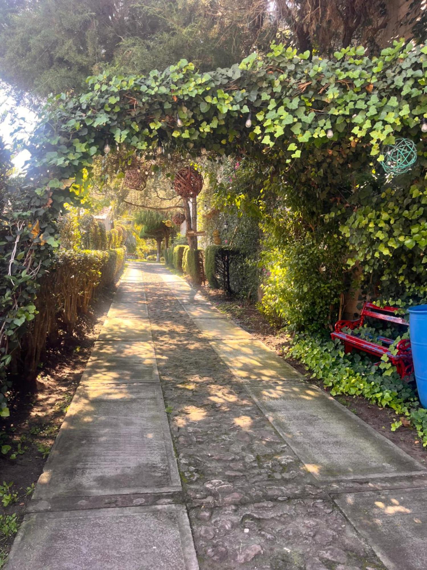 הואסקה דה אוקמפו Cabanas Cumbres De Aguacatitla מראה חיצוני תמונה
