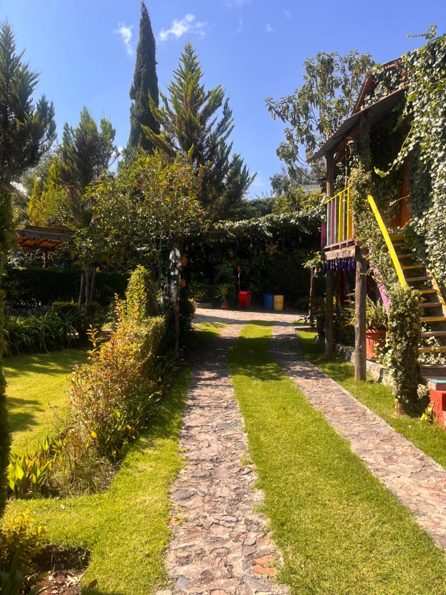 הואסקה דה אוקמפו Cabanas Cumbres De Aguacatitla מראה חיצוני תמונה