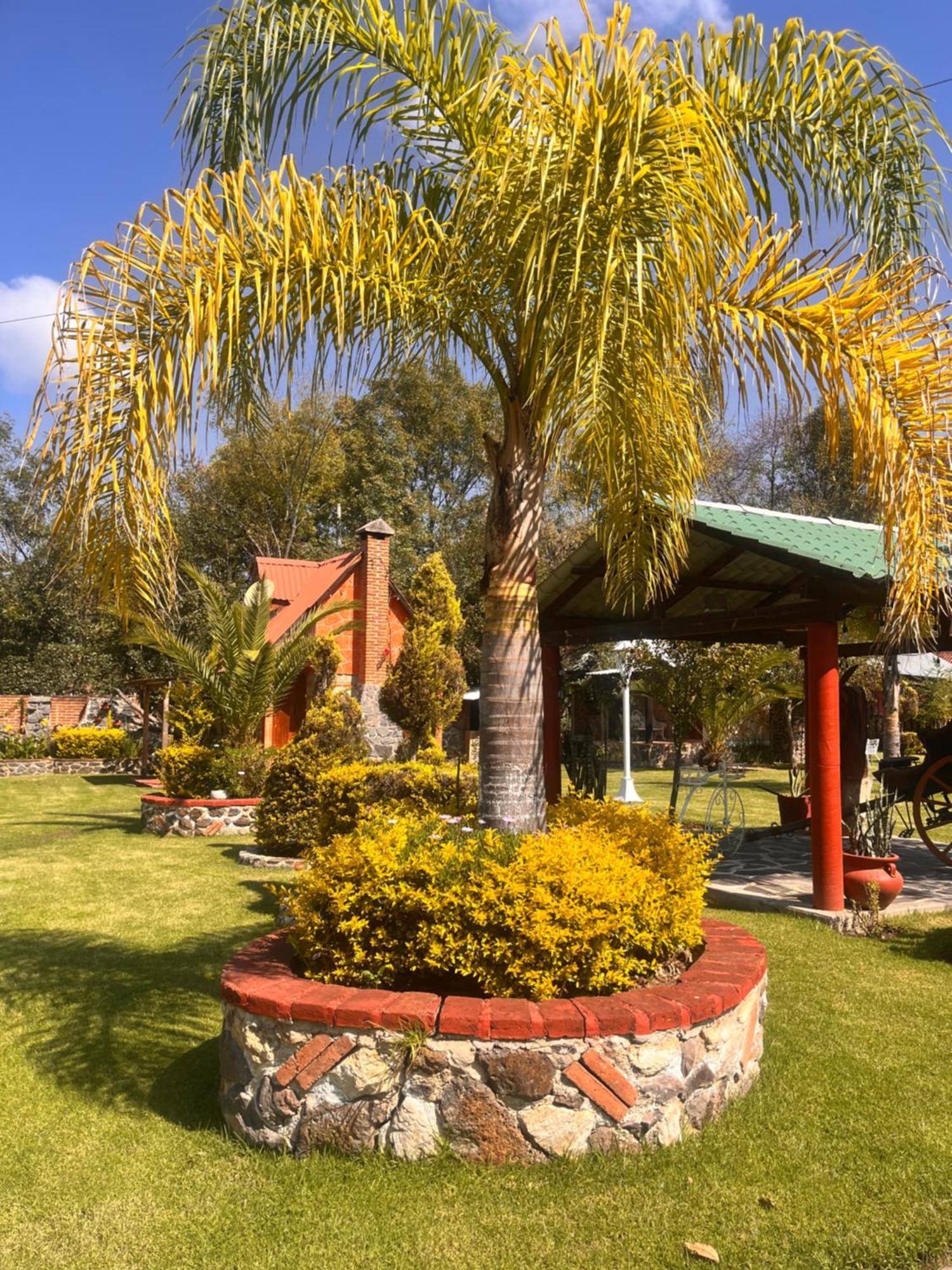 הואסקה דה אוקמפו Cabanas Cumbres De Aguacatitla מראה חיצוני תמונה