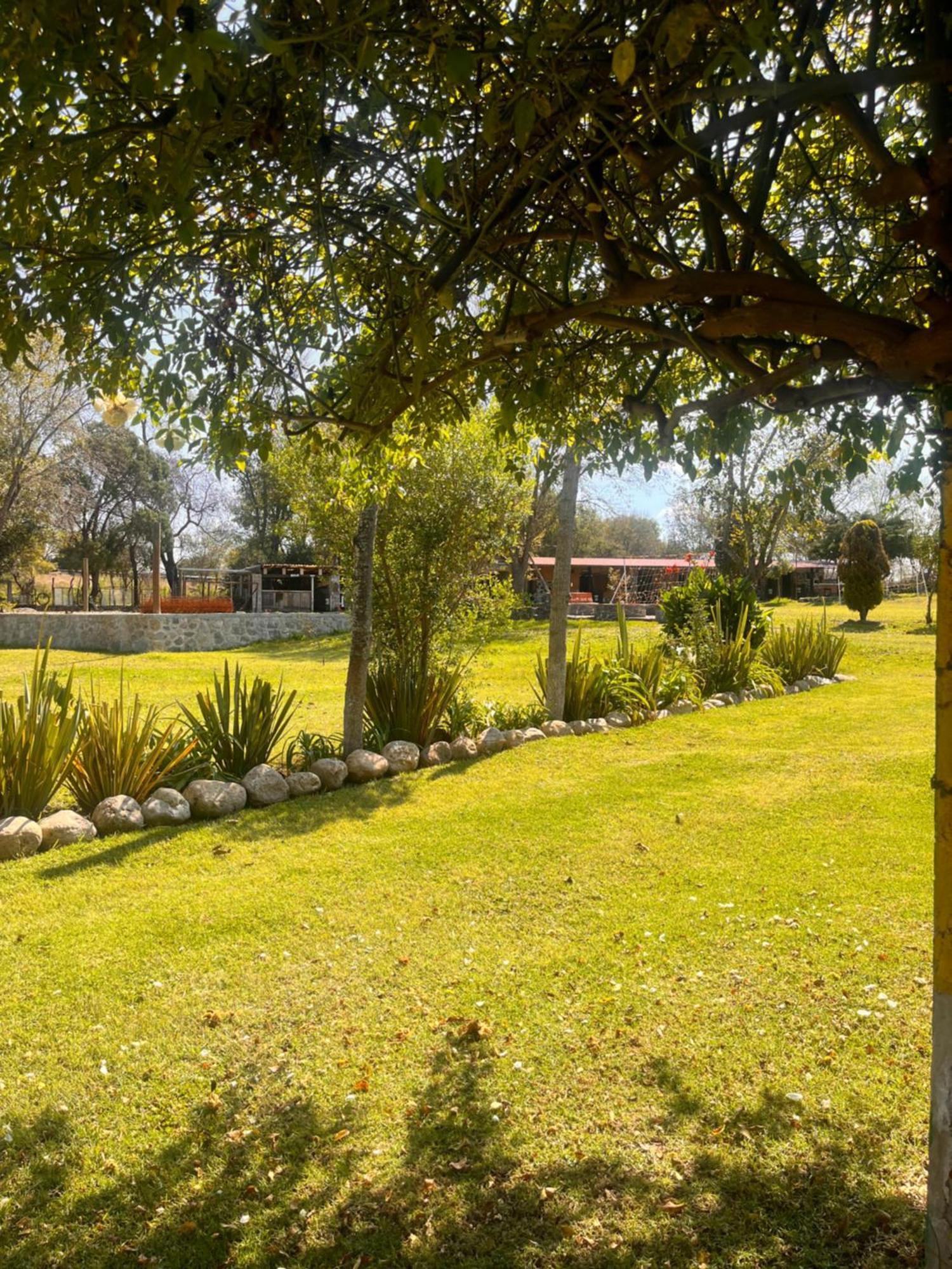 הואסקה דה אוקמפו Cabanas Cumbres De Aguacatitla מראה חיצוני תמונה