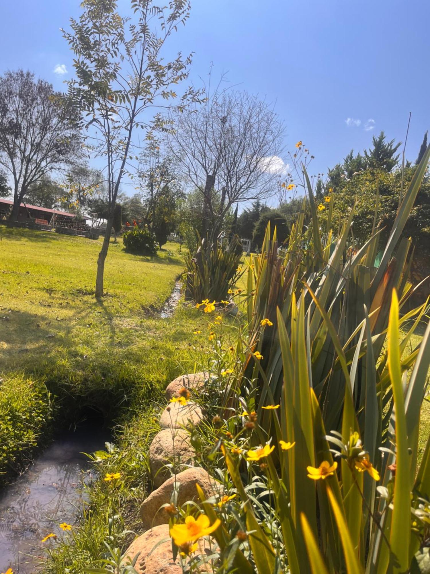 הואסקה דה אוקמפו Cabanas Cumbres De Aguacatitla מראה חיצוני תמונה