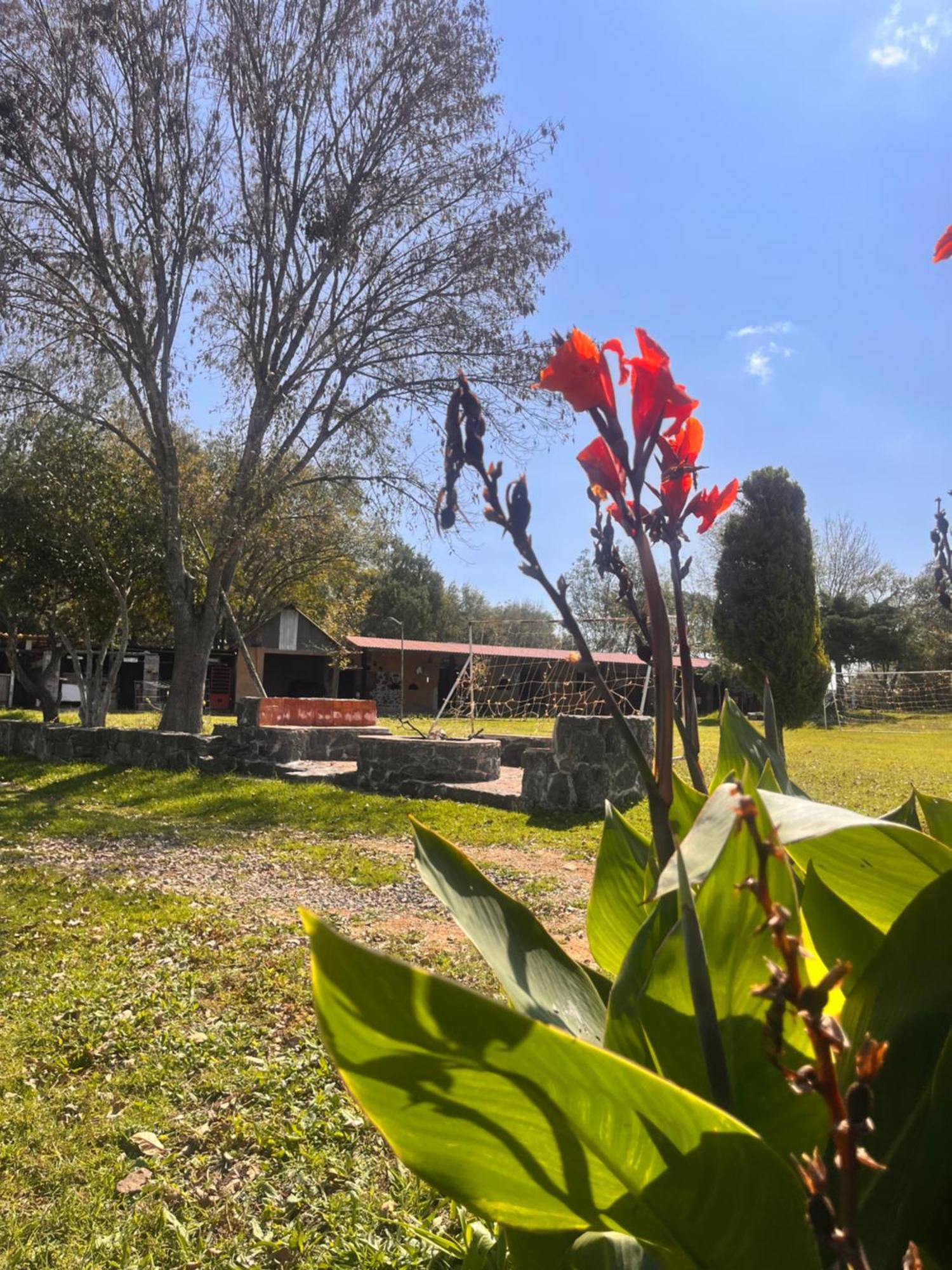 הואסקה דה אוקמפו Cabanas Cumbres De Aguacatitla מראה חיצוני תמונה