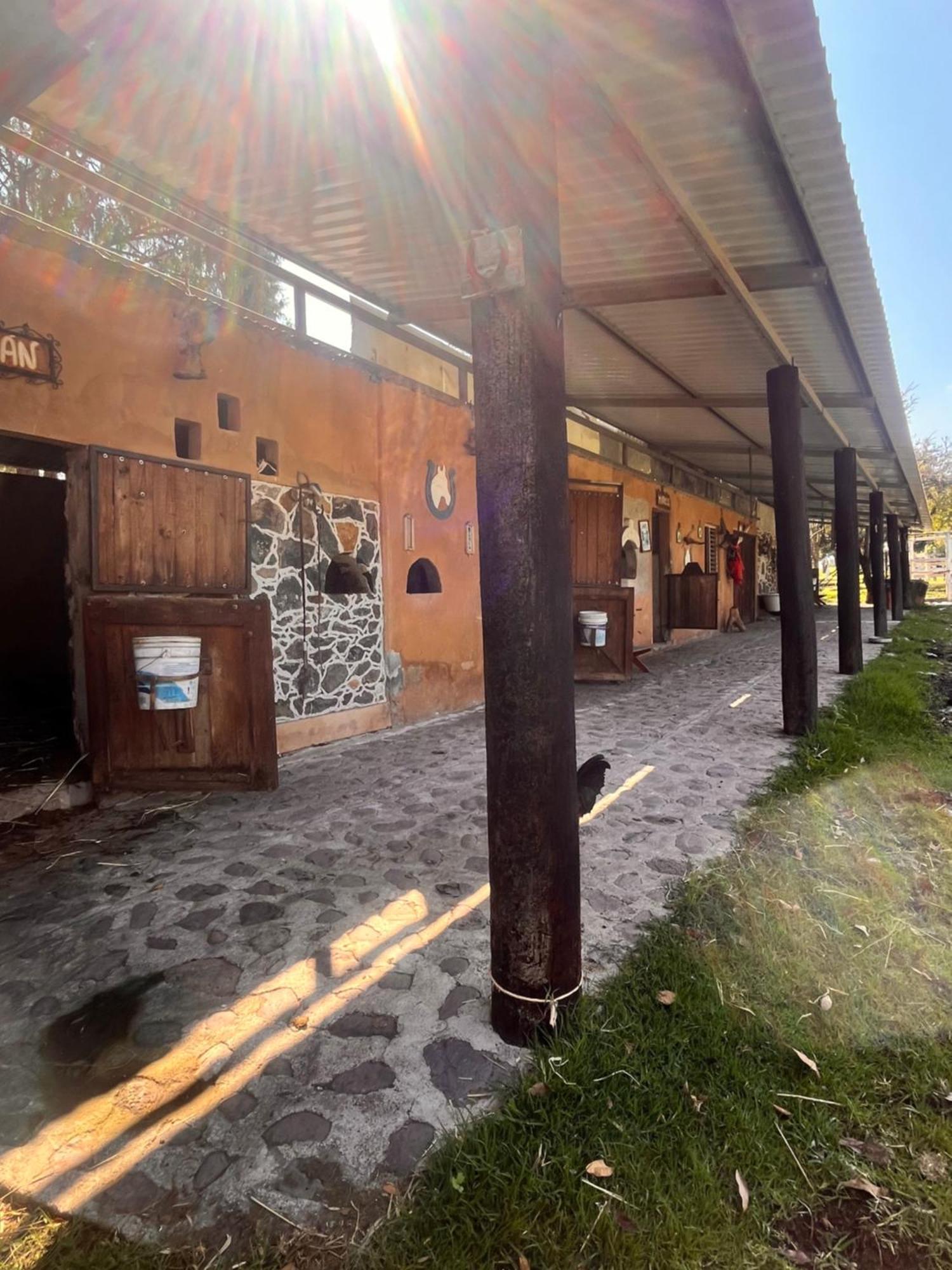 הואסקה דה אוקמפו Cabanas Cumbres De Aguacatitla מראה חיצוני תמונה