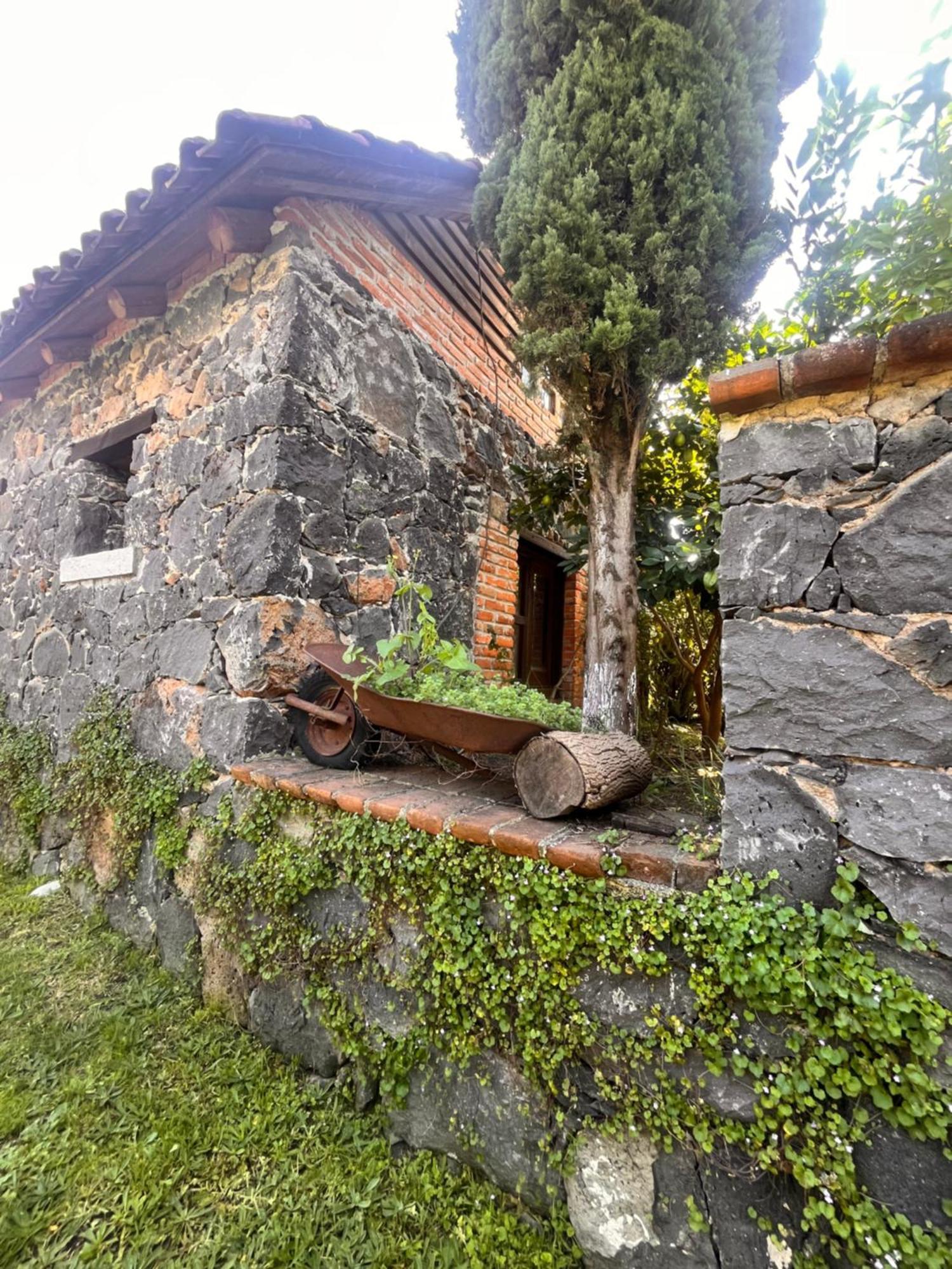 הואסקה דה אוקמפו Cabanas Cumbres De Aguacatitla מראה חיצוני תמונה
