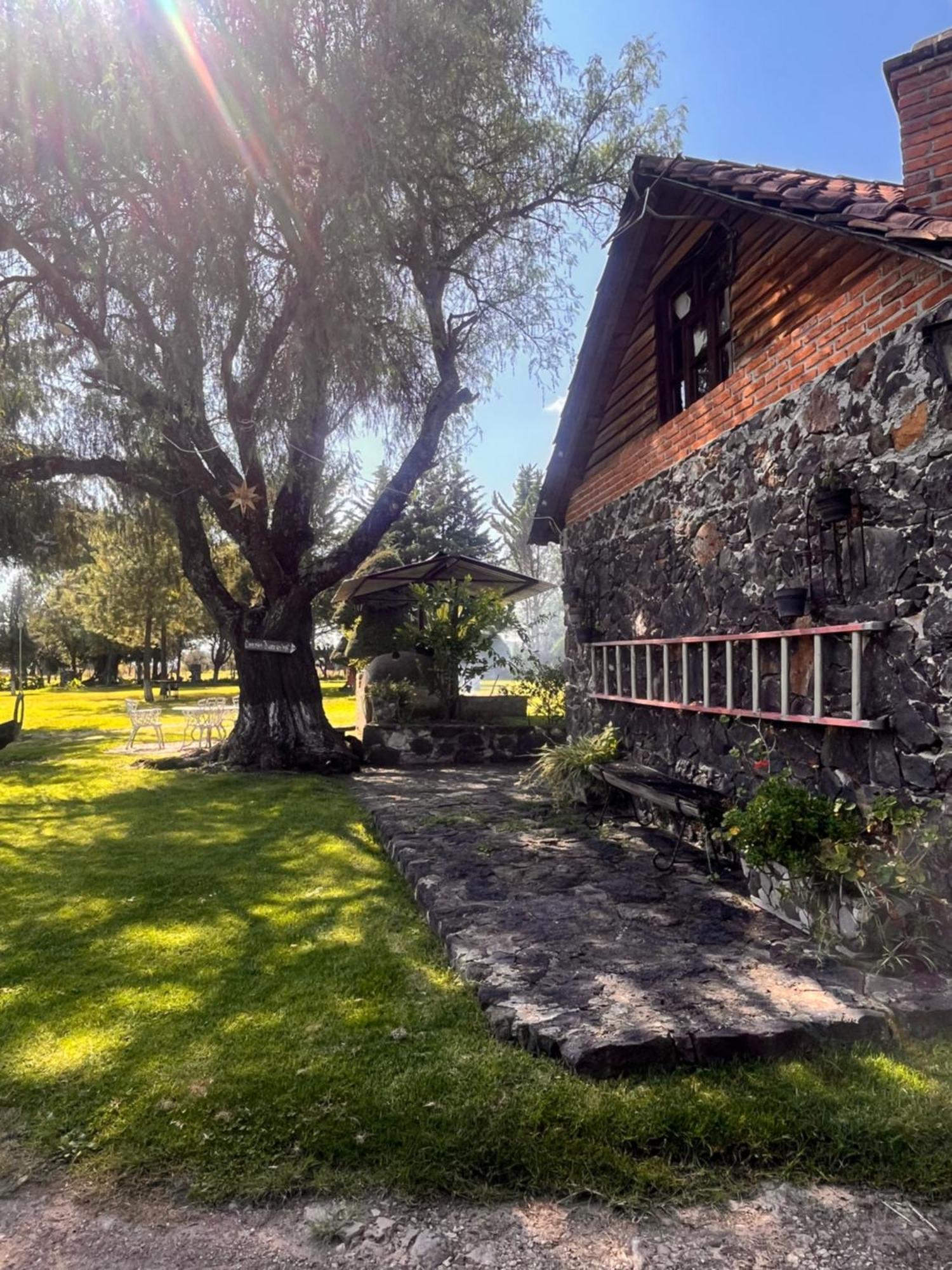 הואסקה דה אוקמפו Cabanas Cumbres De Aguacatitla מראה חיצוני תמונה